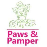 Dog grooming in Dunstable