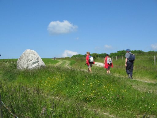 south downs way near cocking