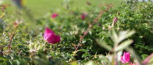 image0