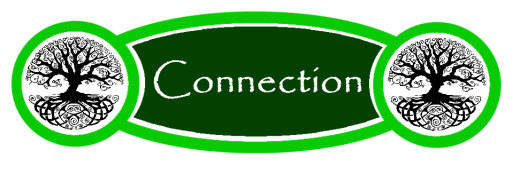 Connection Storytelling and Workshops