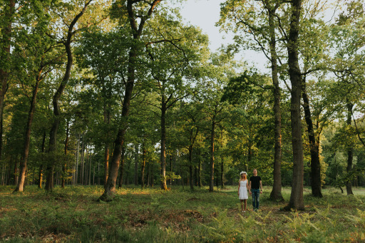 Engagement Photographer