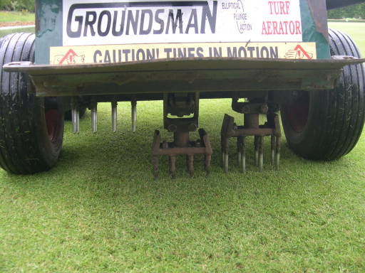 Groundsman 345HD Cluster Solid Needle Tining