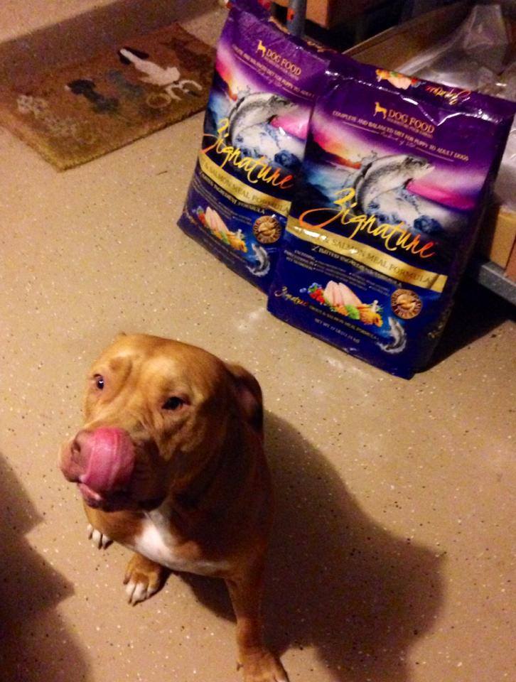 Pet Food Zoom 360 W Schick Rd, Bloomingdale, IL, 60108