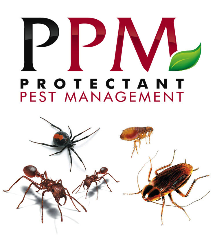 Protectant Pest Management Unit 2/5761 Burchill Street, Loganholme, 4129
