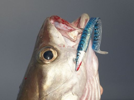 Red Gill Fishing Lures- Blue Tiger V8 Jig Series