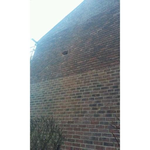 image1