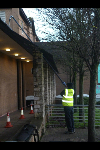 Gutter Cleaning