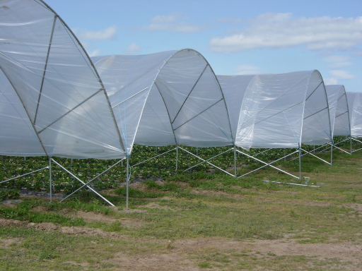 Multi Span system