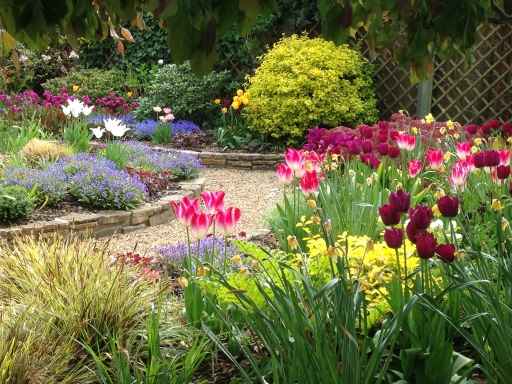 Garden design for retired lady in Godalming