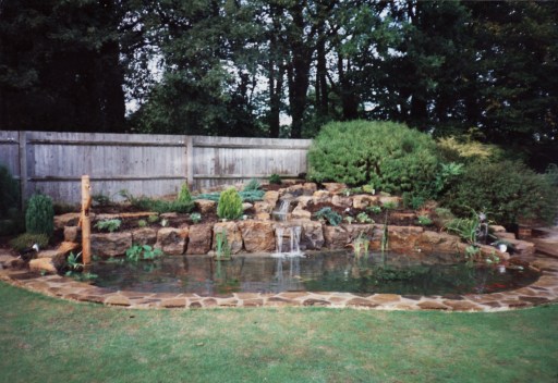 Natural rock pond