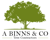 A Binns & Co Ltd