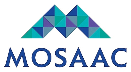 Mosaac Ltd