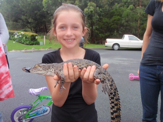 Wild Rangers Wildlife Encounters Gold Coast, 4227