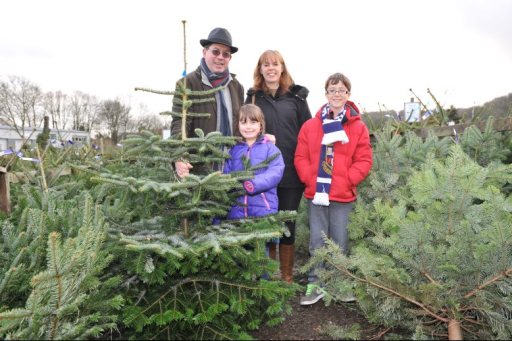 Christmas Tree Place for your Christmas Trees