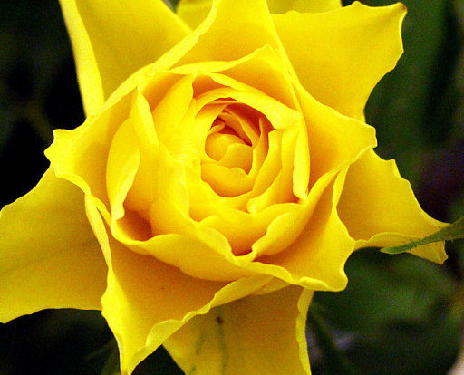 Meditation Group with Bev Darke Norwich counsellor