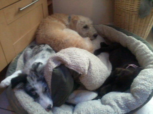 all asleep