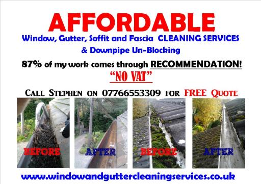 Poole Window cleaner before and after gutter cleaning