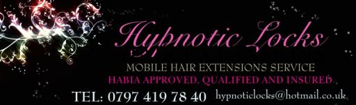 hypnotic locks logo and website