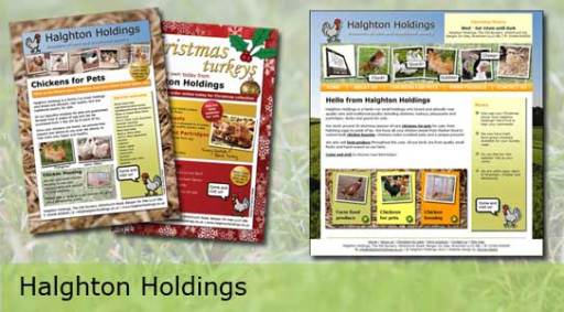 Halghton Holdings - web design and graphic design by Wynne Media