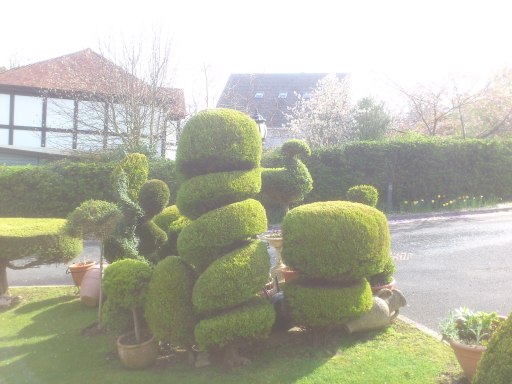 Topiary