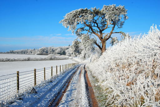 Winter in Wales with Photography Tuition