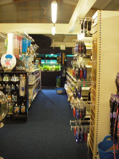 A view down toward the fish room