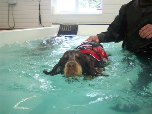 Brady swimming