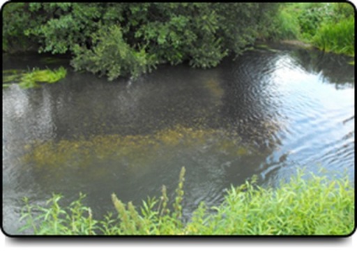 image0