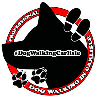 Dog Walking in Carlisle