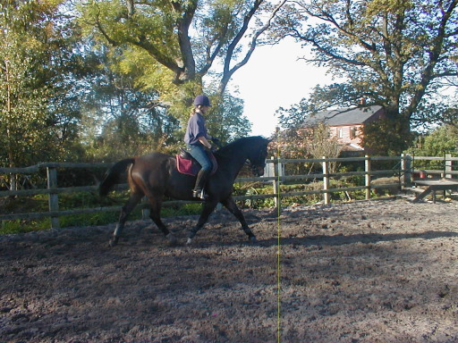 MURRAY HOUSE LIVERY YARD,schooling