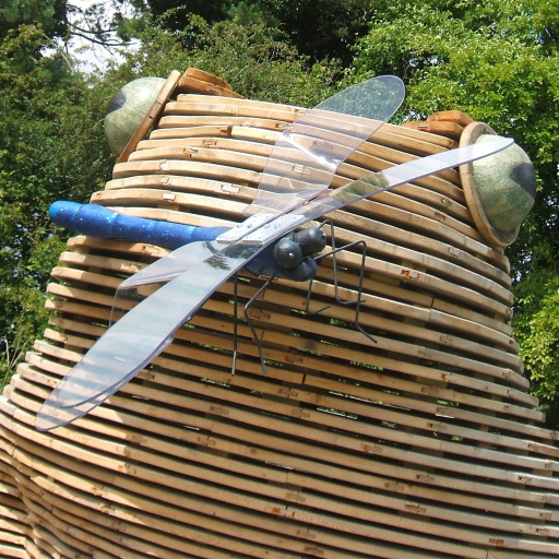 Giant Toad with Dragonfly