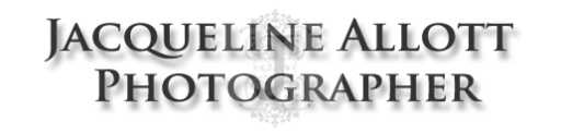 Jacqueline Allott LRPS Photographer
