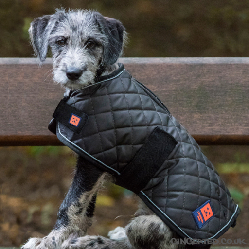 Ginger Ted Thermal Quilted Harness Dog Coat