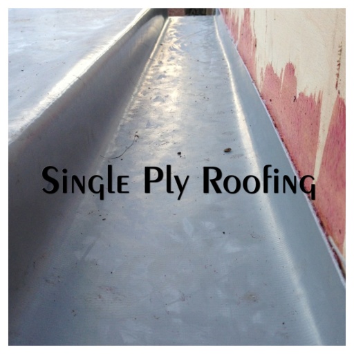 Single ply flat roofing