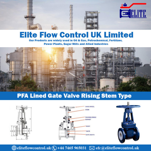 PFA Lined Gate Valve Rising Stem Type