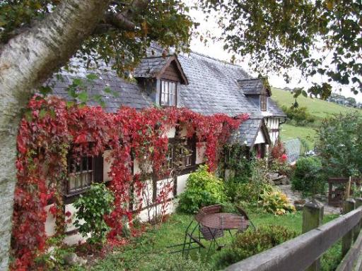 the view of the cottage.
