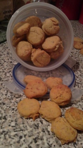 Mini Bites for the little dogs and cats