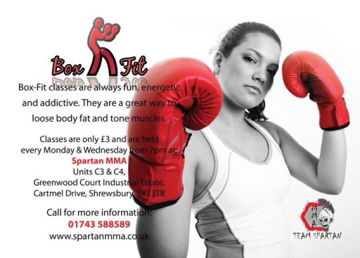Ladies only Box-fit exercise classes at spartan mma gym