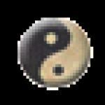 Feng Shui Experience
