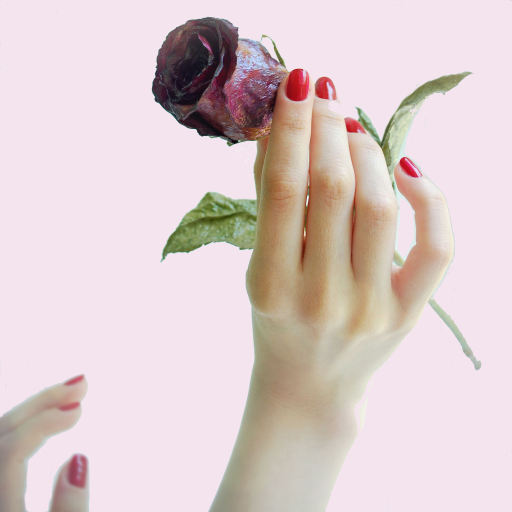 Nail enhancements and nail art in the Durham area