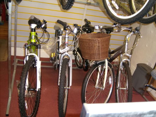 for the sedate cyclist