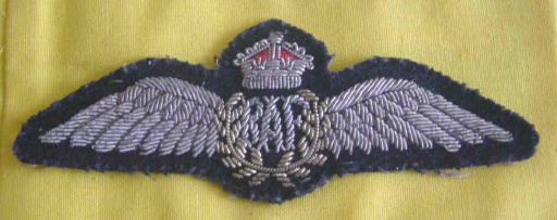 Royal Air Force Pilots Wings