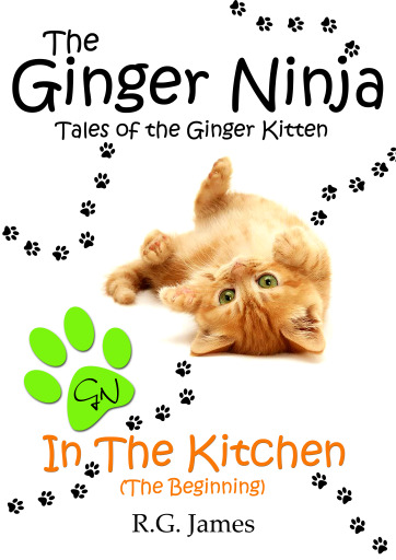 Ginger Ninja Book 1
