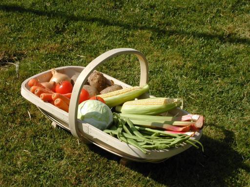 South DownGarden Trug