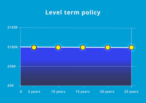level term policy