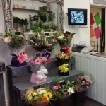 Lisa's Little Bloom Room