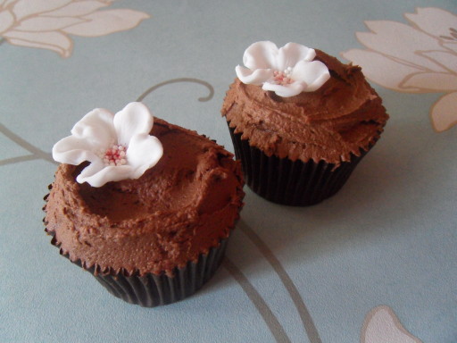 Chocolate Cupcakes
