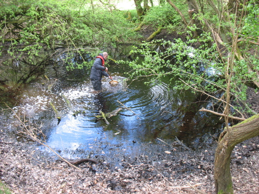 Pond work
