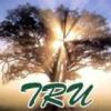 Trees R Us