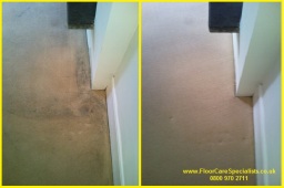 carpet cleaning in nottinghamshire